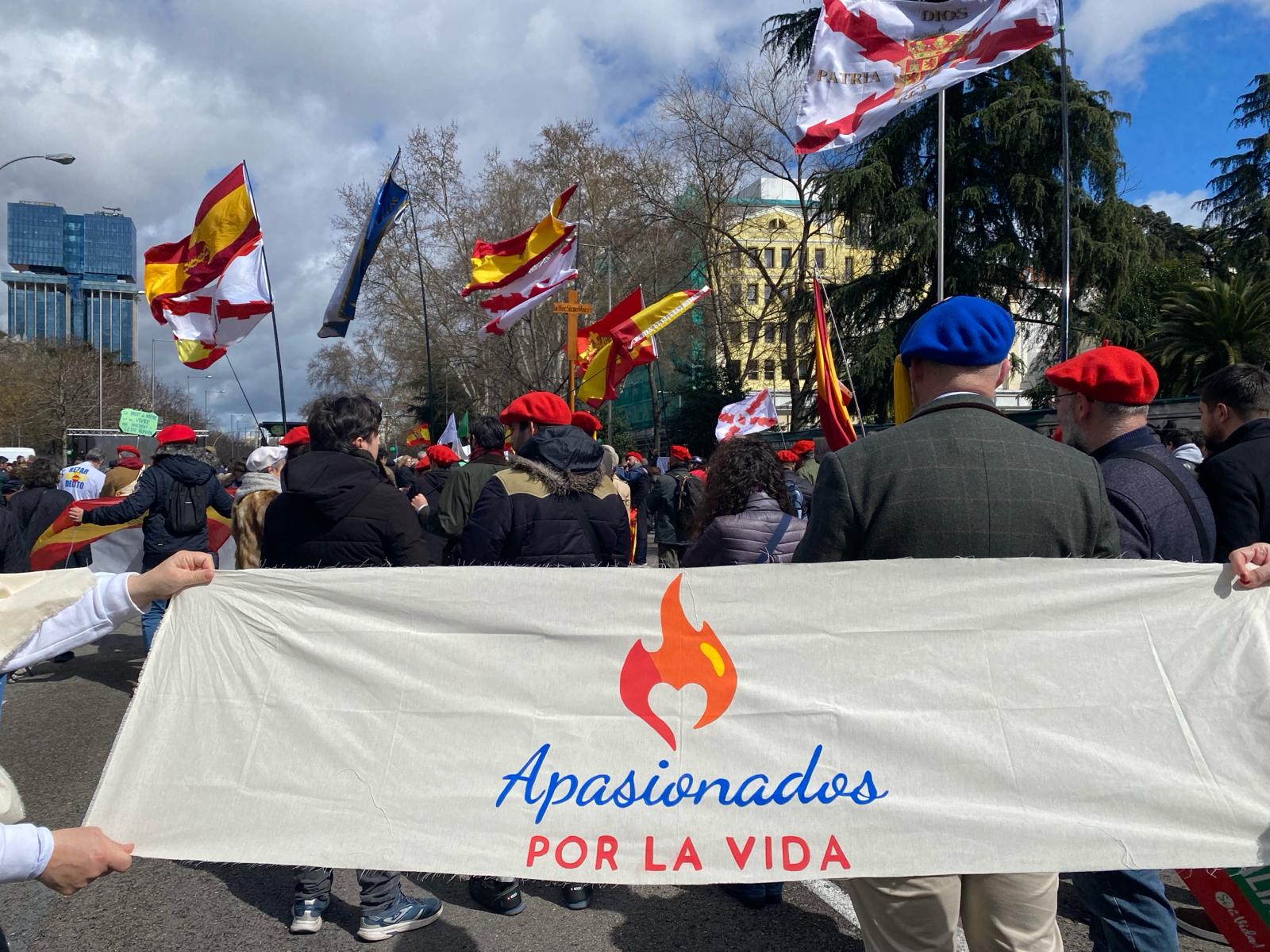 Lee más sobre el artículo Participación del grupo Apasionados por la Vida en la Marcha por la Vida . Madrid 10 marzo 2024.